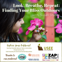 Explore Your Outdoors with USEE!