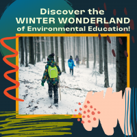 Discover the Winter Wonderland of Environmental Education!